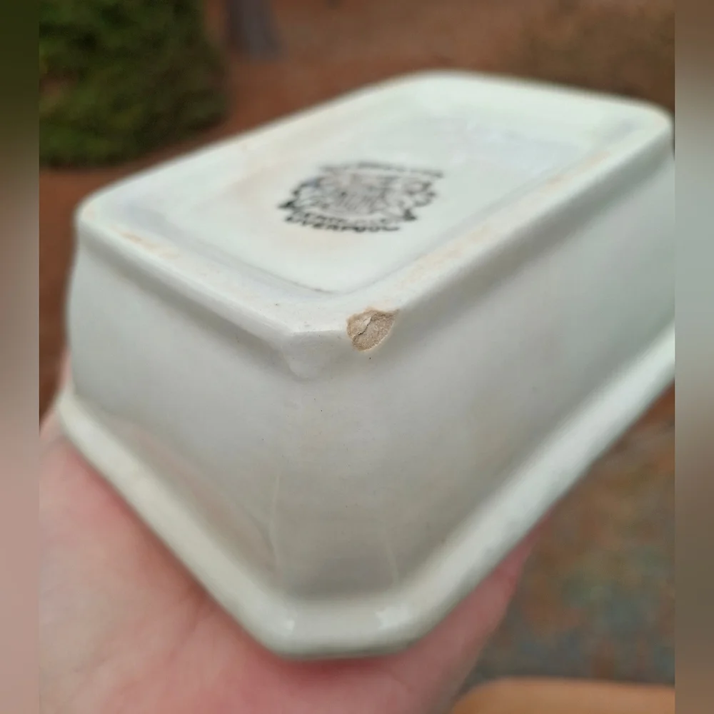 Antique 1892-1910 D.E. McNicol Pottery Co. White Ironstone Soap Box Soap Dish